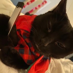 Meet your Posher, Christine